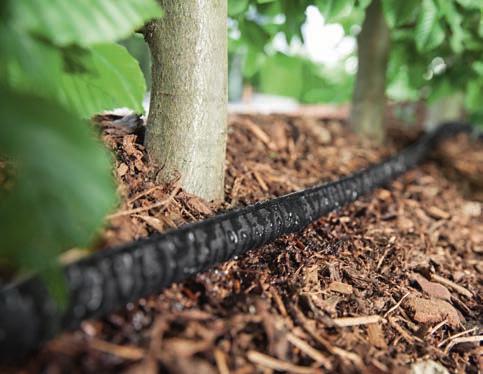 Depending on requirements, drip irrigation can be installed in the Kärcher Rain System in two different ways: either with the separate and extendable trickle hose or with individual drip nozzles,
