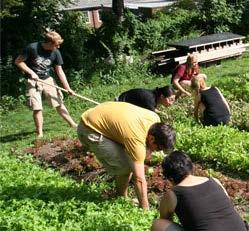 improve the soil on campus and at the Yale Farm.
