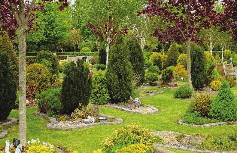 Trees A variety of trees have been planted in our gardens to provide natural, living memorials, each surrounded by