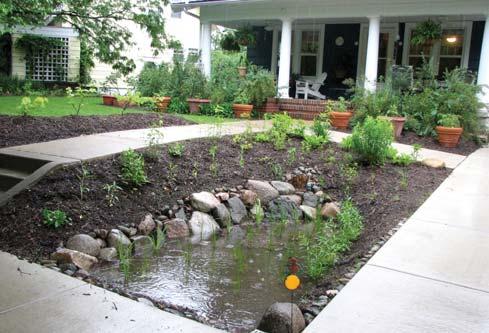 When we create new hardscapes we can reduce their negative effects with technologies like rain gardens, described below, or use less water-resistant materials like gravel instead of concrete for