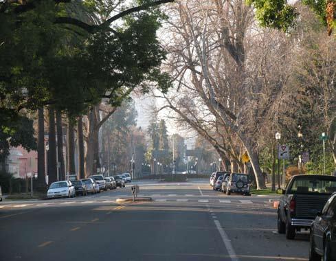 ENVIRONMENTAL RESOURCES : Urban Forest ER 3 ER 3.1.7 ER 3.1.8 ER 3.1.9 Shade Tree Planting Program. The City shall continue to provide shade trees along street frontages within the city.
