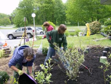 Ulster County Rain Garden A rain garden was constructed at the Ulster Municipal Building in 2008 by