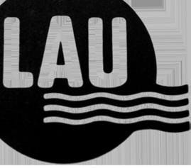 This early invention launched Lau on its path toward efficiently moving air to improve comfort. As homes made the switch, Lau 2015 Lau.