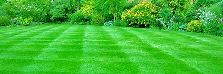 Executive Summary POSITIVE RESULTS LAWN SERVICES INCORPORATED, (PRLS) is North Little Rock, Arkansas premier lawn maintenance, irrigation and sprinkler system installation and horticultural service