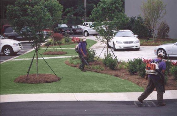Company Profile Positive Results Lawn Services Incorporated began as a lawn care company over a decade ago.