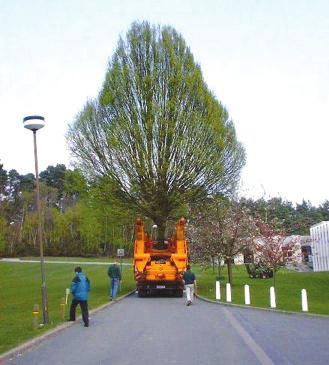 Tree Moving When considering a new development, extension, driveway or new road, before ordering a