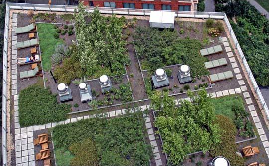 Green Roof Challenges Small soil profile Weight is