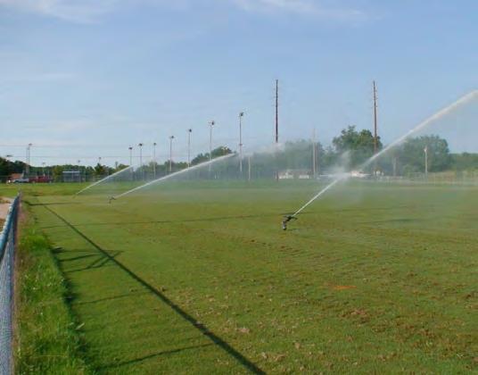 Active growth for warm season turfgrasses occurs between 90-95 degrees Fahrenheit. Bermudagrass is very heattolerant and usually only requires one or two irrigations per week.
