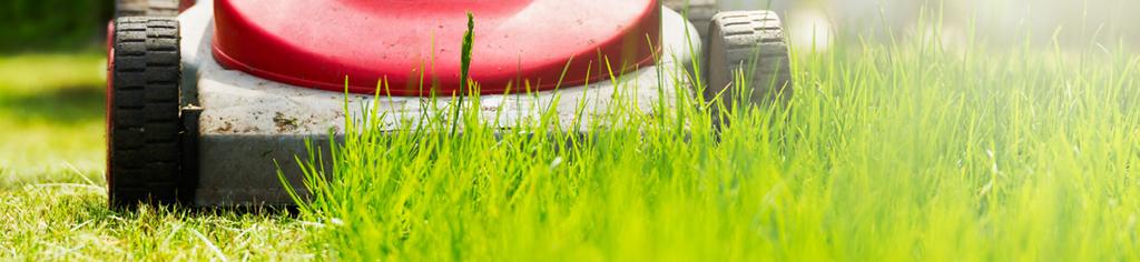 ) This may occur weekly or more often during the growing season and less frequently at other times of the year, depending on your turgrass species. Raise your mower.