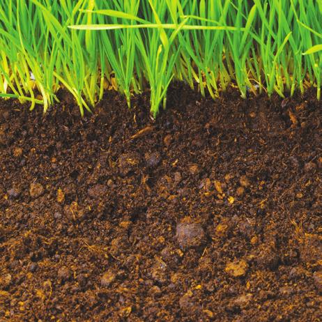 Mulching your grass clippings in place provides water and nutrients back to your lawn. Change your mowing pattern regularly to prevent ruts or irregular growth patterns.