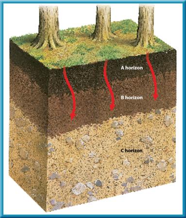 Soil composition The rock and mineral fragments found in soils come from rocks that have been. Most of the pieces of rock and mineral are small particles of sediment such as sand, silt, and clay.