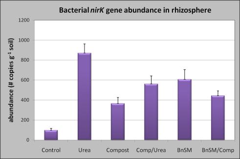 Nitrogen amendment type alters nirk abundance and results in altered retention or loss of N from orchard systems nirk-nitrite reductase; denitrification Volatilize