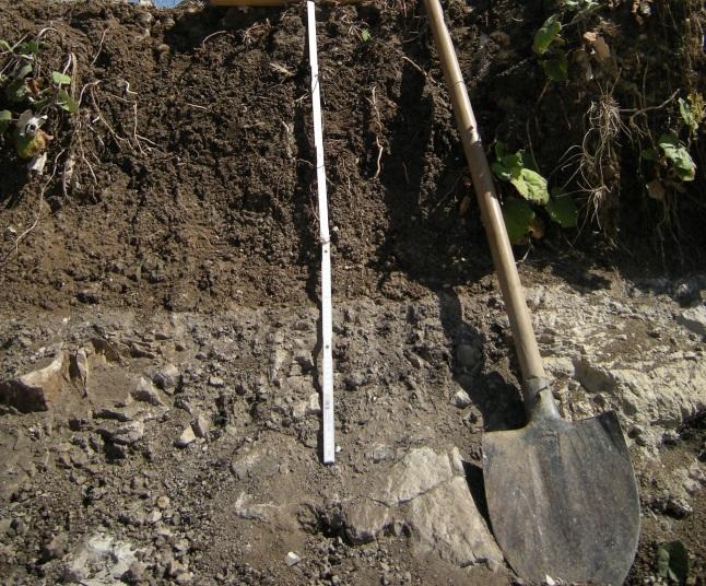 Soils of dumps Profile 35 Relief: slightly wavy Vegetation: spontaneous natural vegetation Location: within the thermal power plant On the pedolgical map of BiH R 1:50000 soil described as: The