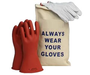 PPE: Hand Protection Store gloves in a canvas glove bag to protect against damage and UV damage and store flat (do not fold).