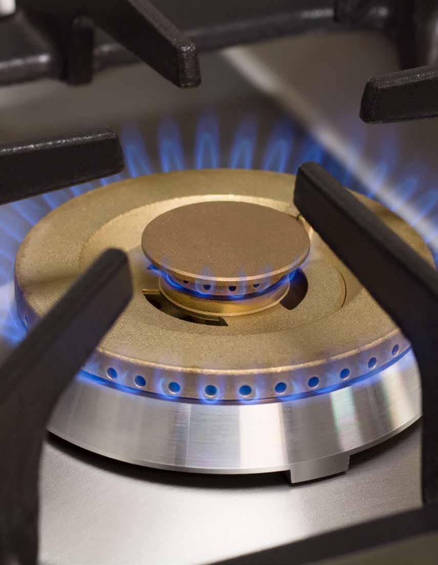 AGA PROFESSIONAL COLLECTION True Dual Flame Burners Eliminate Center Cold