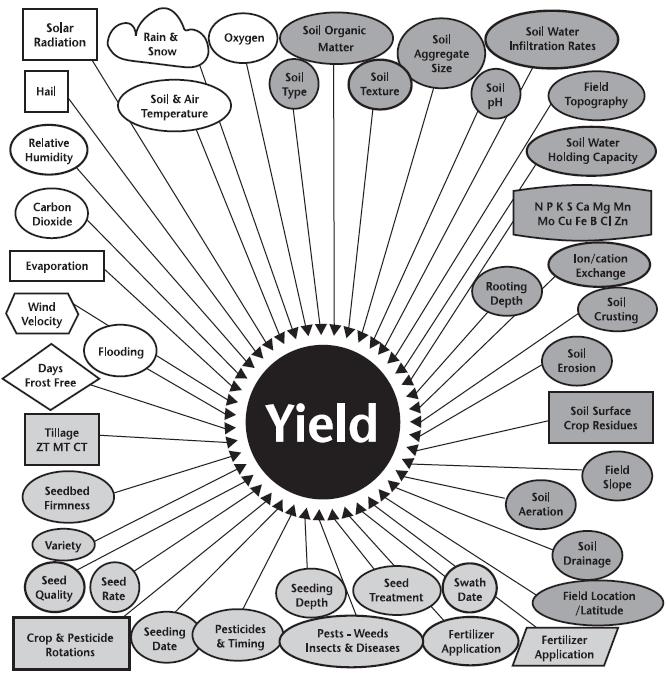 What are all the factors that affect yield?