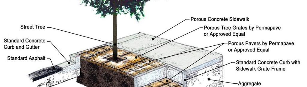 Example of Street Tree Trench with Structural Soil and Adjacent Infiltration Trench Cross-Section B