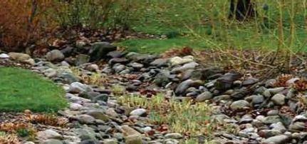 FACT SHEET: Vegetated Swale DESCRIPTION A vegetated swale, also called a drainage swale or bioswale, is a shallow stormwater channel that is densely planted with a variety of grasses, shrubs, and/or