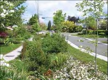Highlights: Contributes to enhanced air quality, water quality and can assist in directly reducing urban heat island impacts. Can improve property value through attractive landscaping.