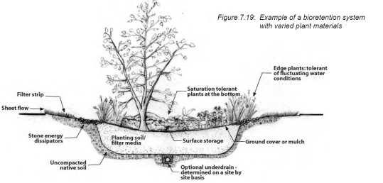 Typical Components of a Bioretention System Bioretention systems can be designed to infiltrate all or some of the flow that they treat.