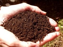 Using Compost The Finished Product Compost is finished when it is a dark, rich color, crumbles easily and you can not pick out any of the original ingredients. It should have a sweet earthy smell.