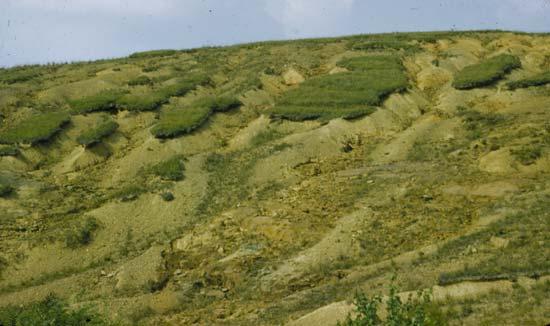 Soil Surface Features Accumulation of soil in valleys, foot slopes