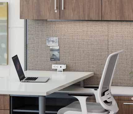 The Neutral Posture standard laminate offering includes 0 laminates with matching edge banding plus 9 additional solid color edge band options.