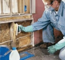 Small Isolated Areas (less than 10 square feet) ceiling tiles, small areas on walls, etc. Remediation can be conducted by trained building maintenance staff.