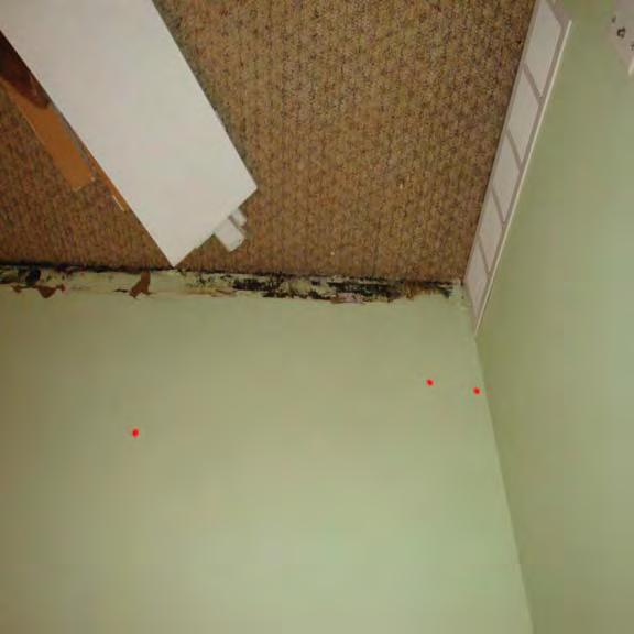 Water Damage Left Untreated Room appears dry, with no damage. Baseboard removal reveals mold & water mark stain begins to show on wall.