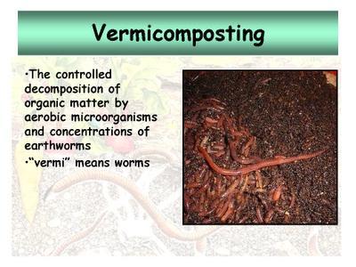 Vermicomposting Capt.S.K.Bhandari What is vermiculture It defines the thrilling potential for waste reduction, fertilizer production, as well as an assortment of possible uses for the future.
