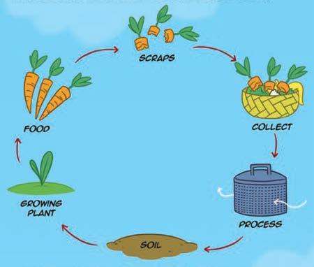 COMPOSTING: IT ALL COMES AROUND AGAIN COMPOSTING TURNS ROTTING FOOD SCRAPS, DEAD FLOWERS AND CUT GRASS INTO NUTRIENT-RICH SOIL THAT HELPS GARDENS GROW.
