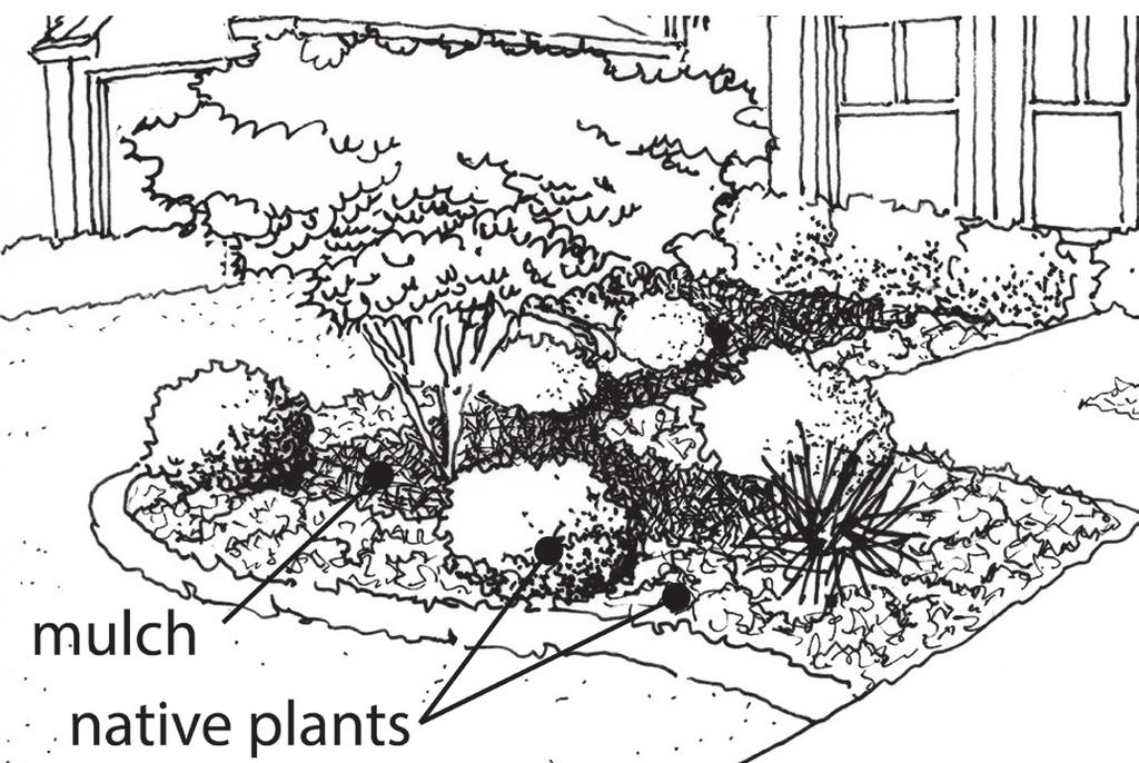 The landscape design should incorporate one or more of the following techniques: Group plants according to their water needs Select native species that are adapted to site soil characteristics Mulch