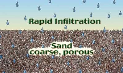 Florida s Sandy Soil Poor water holding capacity Poor