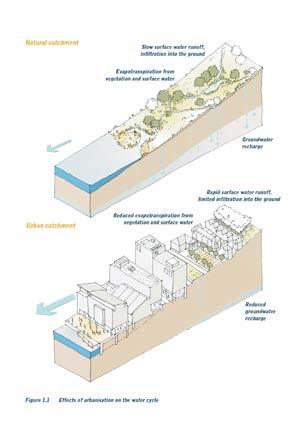Embracing the principles of SuDS can open a gateway towards a much more far-reaching and transformational urban landscape in future.