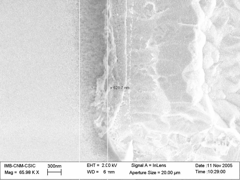 Thickness=2µm top bottom