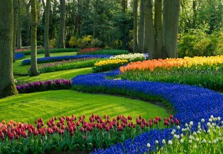 Gardens as art Most cultures see garden design as an art, different from gardening, which generally reffers to maintaining gardens.