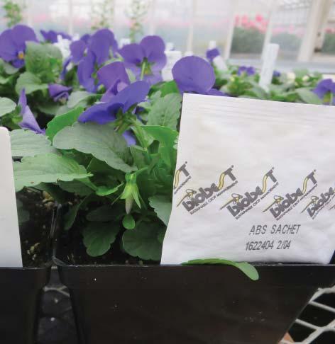 2.Keep plants healthy: Don t forget the IPM abc s. If you are growing most of the crops that you sell, you have control over when and what plants are displayed in retail.