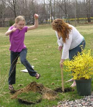 April and May, 2006, Learning by the Yard: A Master Plan and Construction of a Butterfly Garden for Two Elementary Schools in Turners Falls, MA Introduction: Community Service Learning Spring