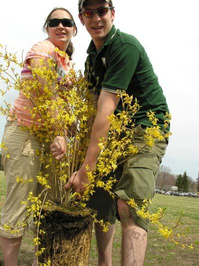 UMass students demonstrate how to plant donated