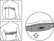 ECG-gel (available at your local chemist s) in order to ensure a good contact with the skin at all times. Positioning the Transmitter Belt upward as per diagram.