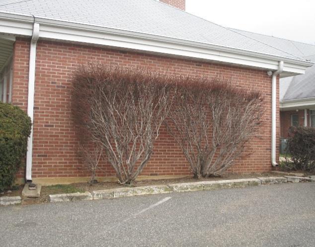 A rain garden can be installed off of the northeast corner of the church to capture, treat, and infiltrate runoff.