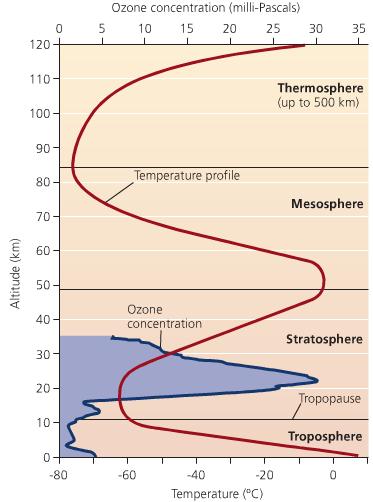 -Structure -Weather and Climate *long-term (about 30 year span) weather *important characteristics: temperature & precipitation -Atmospheric circulation and the Coriolis Effect *Earth s surface is