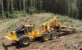 Management Practices Affecting Bulk Density Forested Land, logging and skidder wheel traffic: Time of Sampling Bulk Density, Mg/m 3