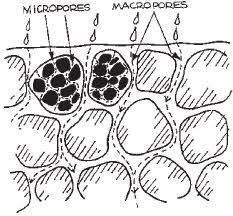 Pore Space is made up of Macropores and Micropores Macropores: are the large pores between soil peds from natural swelling and