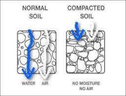 Soil Porosity Soil pores are important for water and air storage and movement It can be calculated as follow: % pore space = 100% - [(Db of soil/density