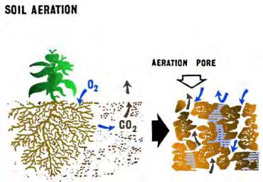 Soil Air High variability Anaerobic v.