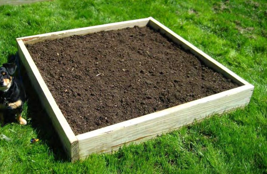 Raised Bed Medium Soil based mix 1 pt soil 1 pt organic matter