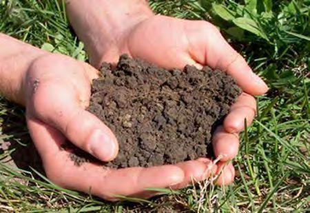 Soil Forming Factors What are the most