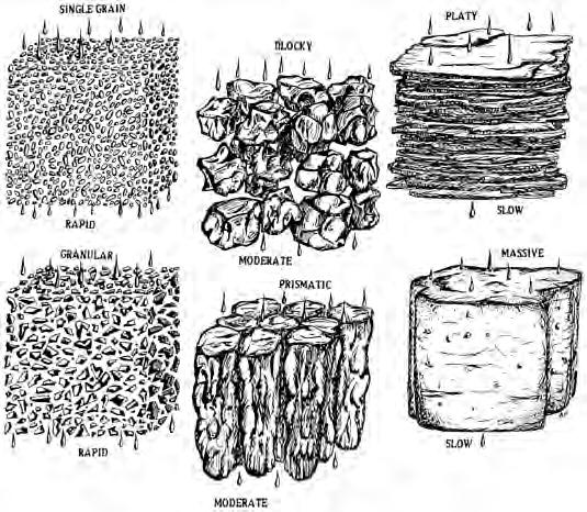 Soil Physical Properties: Soil Structure