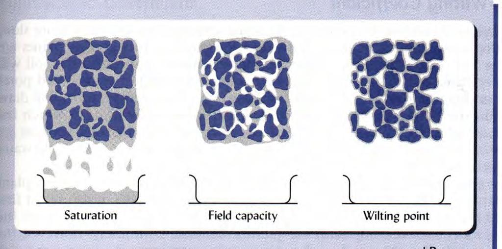 Water and Air at Different Moisture Levels Field capacity: when water has drained from